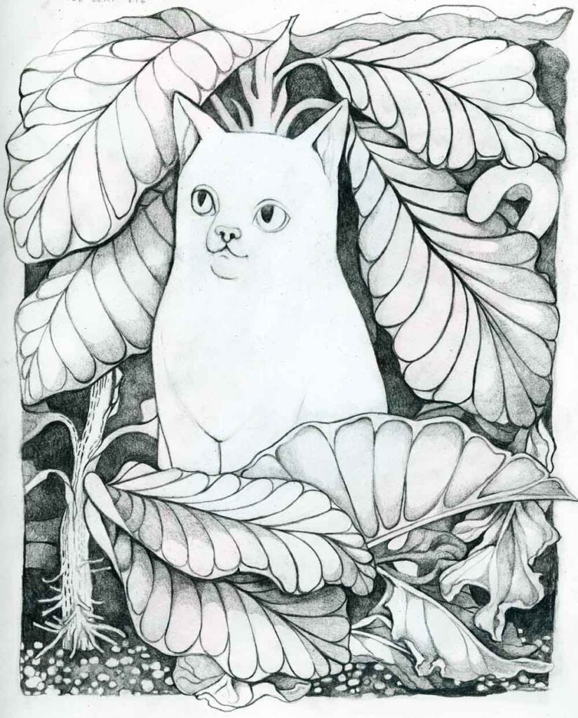 Graphite drawing of a cat in the pot of a fig tree