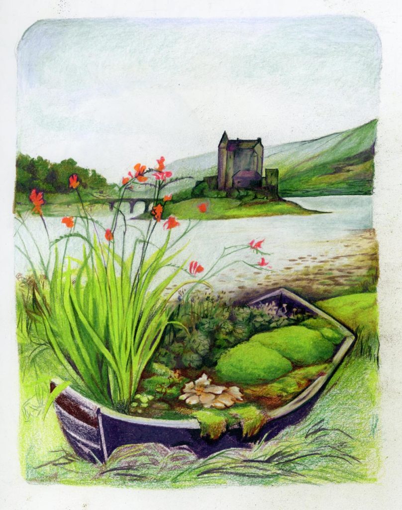 Colored pencil drawing of an old boat on the shore of a lake, overgrown with flowers and moss.