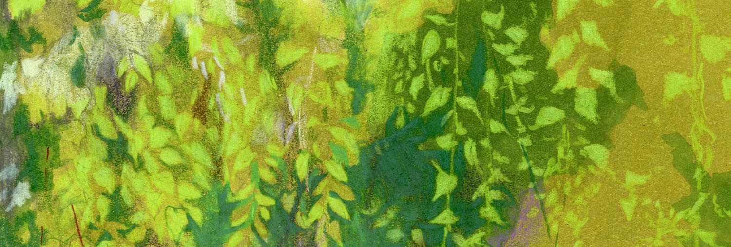 Drawing of a leafy canopy in many shades of green