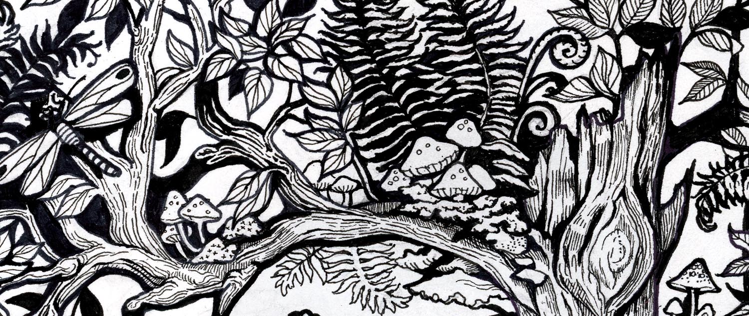 Closeup of drawing of a branch of a tree with ferns and mushrooms.