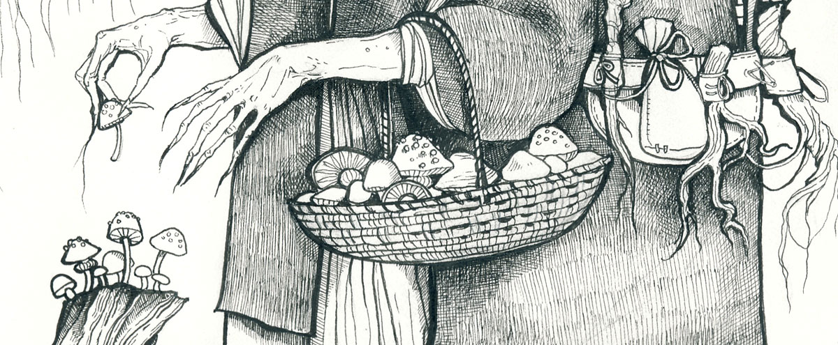 Closeup drawing of a basket of mushrooms over a gnarled arm.